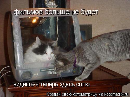 фильмов больше не будет видишь-я теперь здесь сплю... Котоматрица: фильмов больше не будет видишь-я теперь здесь сплю