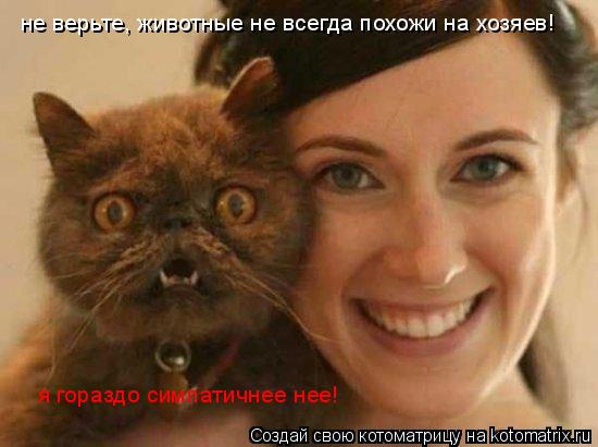не верьте, животные не всегда похожи на хозяев! я гораздо симпатичнее нее!... Котоматрица: не верьте, животные не всегда похожи на хозяев! я гораздо симпатичнее нее!