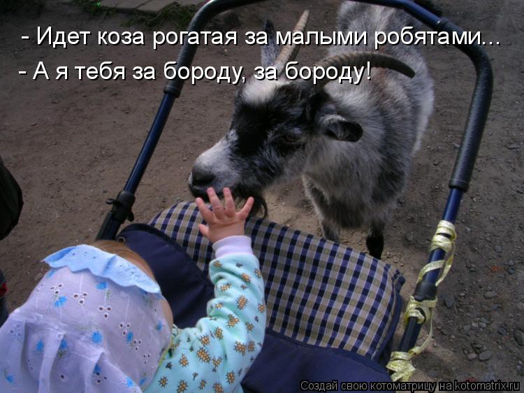 - Идет коза рогатая за малыми робятами... - А я тебя за бороду, за бороду!... Котоматрица: - Идет коза рогатая за малыми робятами... - А я тебя за бороду, за бороду!