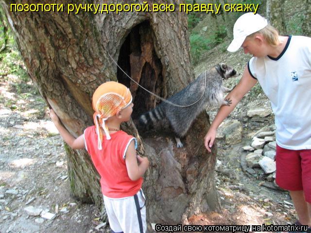 позолоти ручку,дорогой.всю правду скажу... Котоматрица: позолоти ручку,дорогой.всю правду скажу