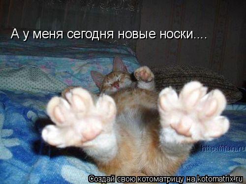 А у меня сегодня новые носки....... Котоматрица: А у меня сегодня новые носки....
