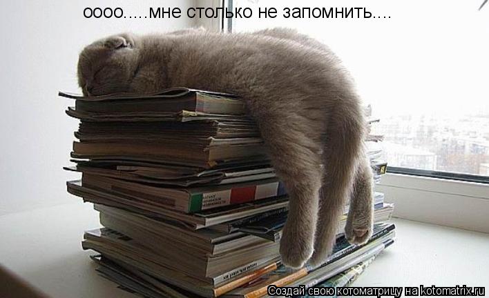 оооо.....мне столько не запомнить....... Котоматрица: оооо.....мне столько не запомнить....