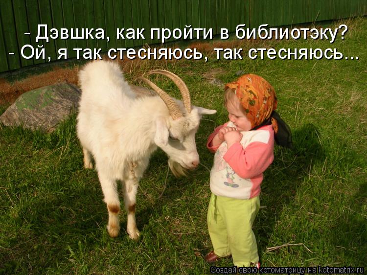 - Дэвшка, как пройти в библиотэку? - Ой, я так стесняюсь, так стесняюсь...... Котоматрица: - Дэвшка, как пройти в библиотэку? - Ой, я так стесняюсь, так стесняюсь...