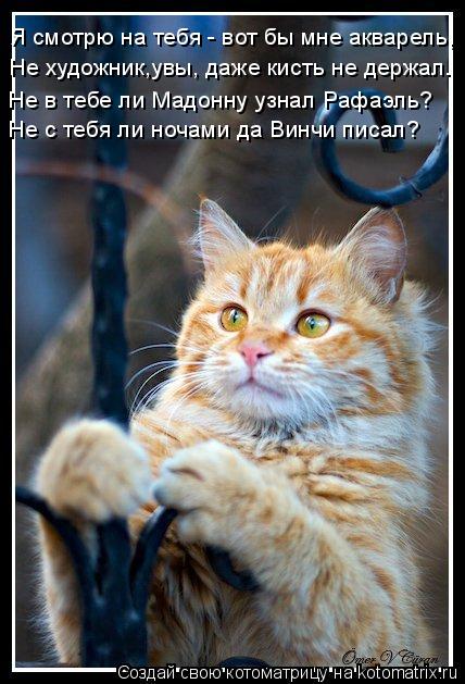 Я смотрю на тебя - вот бы мне акварель, Не художник,увы, даже кисть не держал. Не в тебе ли Мадонну... Котоматрица: Я смотрю на тебя - вот бы мне акварель, Не художник,увы, даже кисть не держал. Не в тебе ли Мадонну узнал Рафаэль? Не с тебя ли ночами да Винчи
