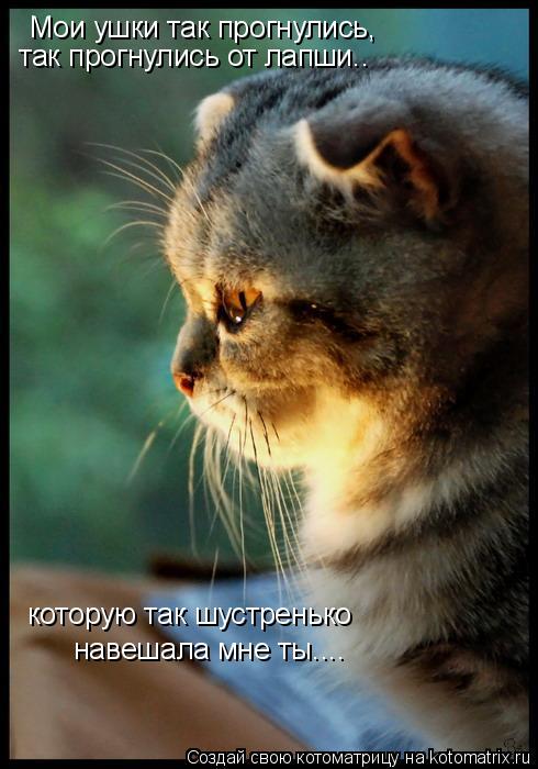 Мои ушки так прогнулись, так прогнулись от лапши.. которую так шустренько навешала мне ты....... Котоматрица: Мои ушки так прогнулись, так прогнулись от лапши.. которую так шустренько навешала мне ты....