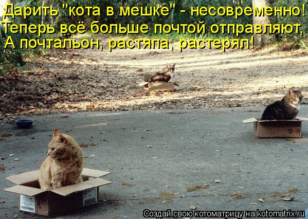 Дарить "кота в мешке" - несовременно! Теперь всё больше почтой отправляют, А почтальон, растяпа, раст... Котоматрица: Дарить "кота в мешке" - несовременно! Теперь всё больше почтой отправляют, А почтальон, растяпа, растерял!