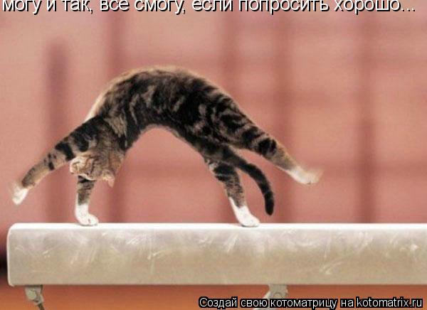 могу и так, все смогу, если попросить хорошо...... Котоматрица: могу и так, все смогу, если попросить хорошо...