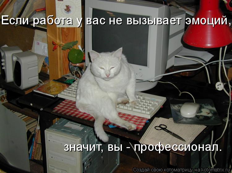 Если работа у вас не вызывает эмоций, значит, вы - профессионал. значит, вы - профессионал.... Котоматрица: Если работа у вас не вызывает эмоций, значит, вы - профессионал. значит, вы - профессионал.