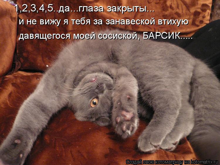 1,2,3,4,5..да...глаза закрыты... и не вижу я тебя за занавеской втихую давящегося моей сосиской, БАР... Котоматрица: 1,2,3,4,5..да...глаза закрыты... и не вижу я тебя за занавеской втихую давящегося моей сосиской, БАРСИК.....