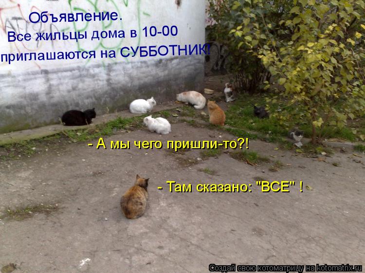 приглашаются на СУББОТНИК! - А мы чего пришли-то?! - Там сказано: "ВСЕ" ! Все жильцы дома в 10-00... Котоматрица: приглашаются на СУББОТНИК! - А мы чего пришли-то?! - Там сказано: "ВСЕ" ! Все жильцы дома в 10-00 Объявление.
