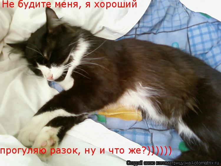 Не будите меня, я хороший прогуляю разок, ну и что же?))))))... Котоматрица: Не будите меня, я хороший прогуляю разок, ну и что же?))))))