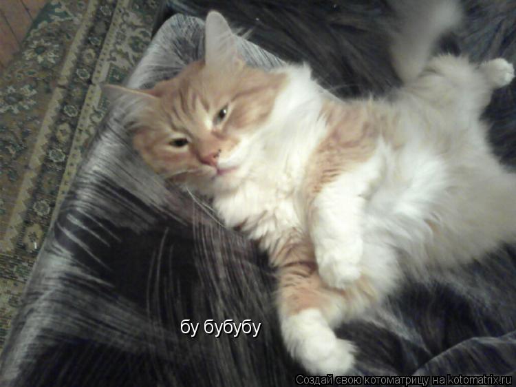 бу бубубу... Котоматрица: бу бубубу