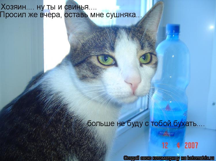 Хозяин.... ну ты и свинья.... Просил же вчера, оставь мне сушняка... больше не буду с тобой бухать...... Котоматрица: Хозяин.... ну ты и свинья.... Просил же вчера, оставь мне сушняка... больше не буду с тобой бухать....