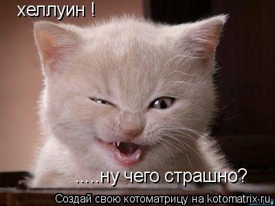 Котоматрица: хеллуин ! .....ну чего страшно?