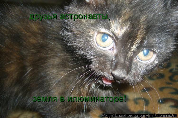 друзья астронавты, земля в илюминаторе!... Котоматрица: друзья астронавты, земля в илюминаторе!