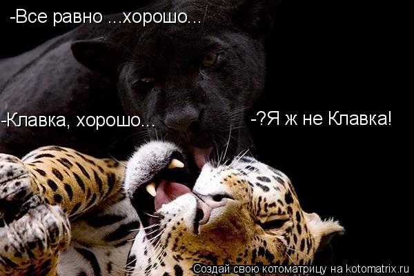 -Клавка, хорошо... -?Я ж не Клавка! -Все равно ...хорошо...... Котоматрица: -Клавка, хорошо... -?Я ж не Клавка! -Все равно ...хорошо...