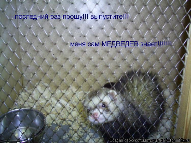 -последний раз прошу!!! выпустите!!! меня сам МЕДВЕДЕВ знает!!!!!!!... Котоматрица: -последний раз прошу!!! выпустите!!! меня сам МЕДВЕДЕВ знает!!!!!!!