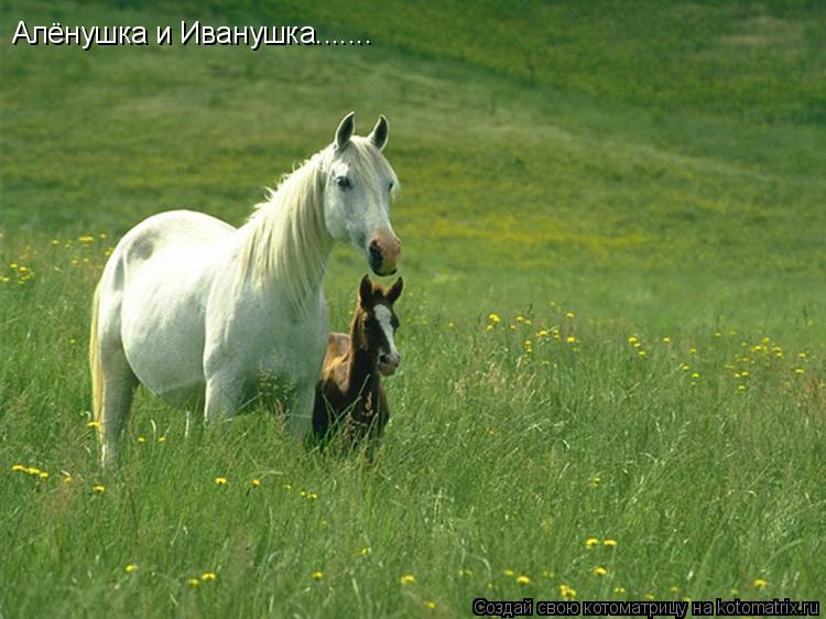 Алёнушка и Иванушка.......... Котоматрица: Алёнушка и Иванушка.......