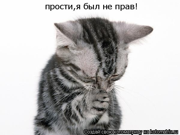 прости,я был не прав!... Котоматрица: прости,я был не прав!