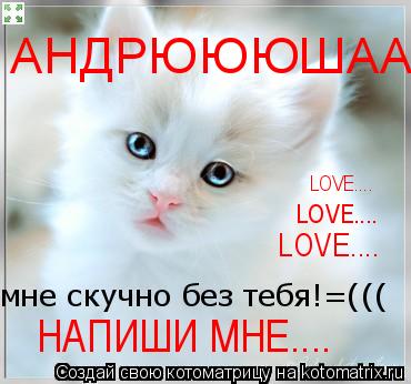 АНДРЮЮЮШААА НАПИШИ МНЕ.... LOVE.... LOVE.... LOVE....... Котоматрица: АНДРЮЮЮШААА НАПИШИ МНЕ.... LOVE.... LOVE.... LOVE....