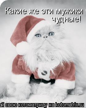 Какие же эти мужики чудные! чудные!... Котоматрица: Какие же эти мужики чудные! чудные!