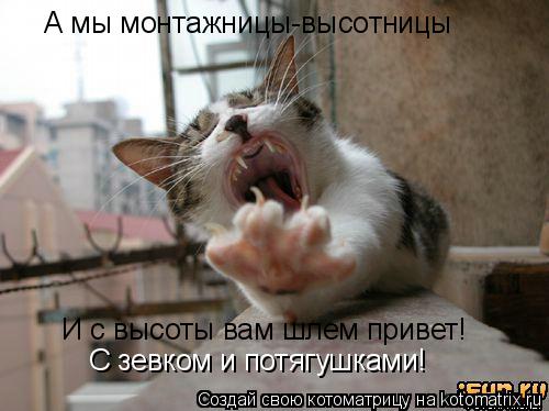 А мы монтажницы-высотницы И с высоты вам шлем привет! С зевком и потягушками!... Котоматрица: А мы монтажницы-высотницы И с высоты вам шлем привет! С зевком и потягушками!