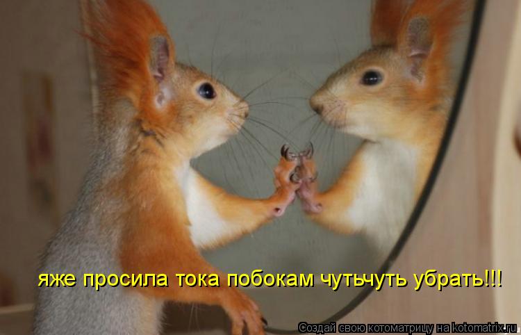 яже просила тока побокам чутьчуть убрать!!!... Котоматрица: яже просила тока побокам чутьчуть убрать!!!