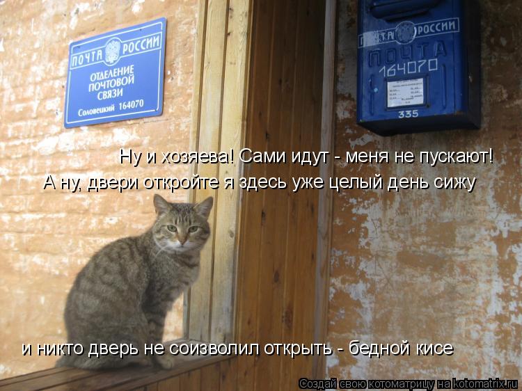 Котоматрица: Ну и хозяева! Сами идут - меня не пускают! А ну, двери откройте я здесь уже целый день сижу и никто дверь не соизволил открыть - бедной кисе