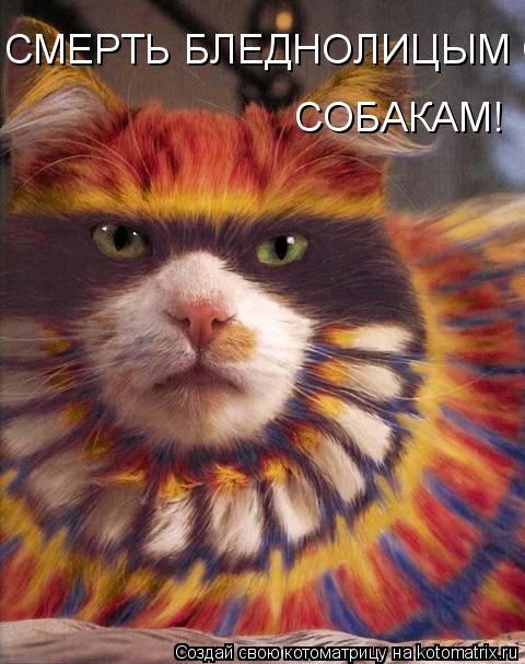Котоматрица: СМЕРТЬ БЛЕДНОЛИЦЫМ СОБАКАМ СОБАКАМ!