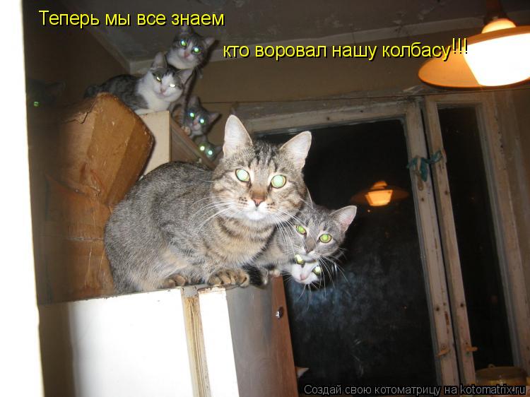 Котоматрица: Теперь мы все знаем кто воровал нашу колбасу !!!