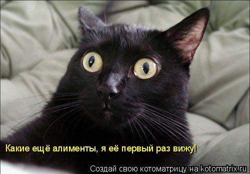 Котоматрица: Какие ещё алименты, я её первый раз вижу!