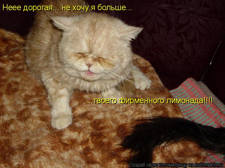 Неее дорогая... не хочу я больше... ...твоего фирменного лимонада!!!!... Котоматрица: Неее дорогая... не хочу я больше... ...твоего фирменного лимонада!!!!