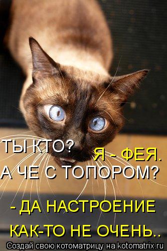 Котоматрица: А ЧЕ С ТОПОРОМ? - ДА НАСТРОЕНИЕ  КАК-ТО НЕ ОЧЕНЬ.. ТЫ КТО? Я - ФЕЯ.