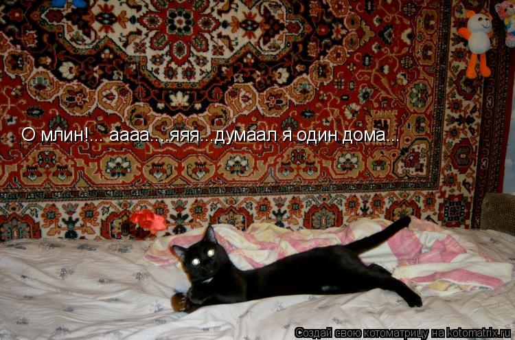 О млин!... аааа....яяя...думаал я один дома...... Котоматрица: О млин!... аааа....яяя...думаал я один дома...