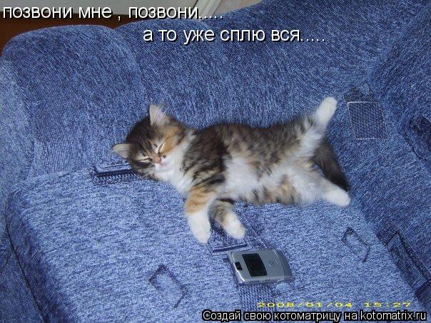 Котоматрица: позвони мне , позвони..... а то уже сплю вся.....