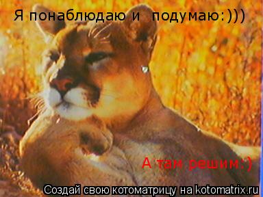 Я понаблюдаю и подумаю:))) А там решим:)... Котоматрица: Я понаблюдаю и подумаю:))) А там решим:)