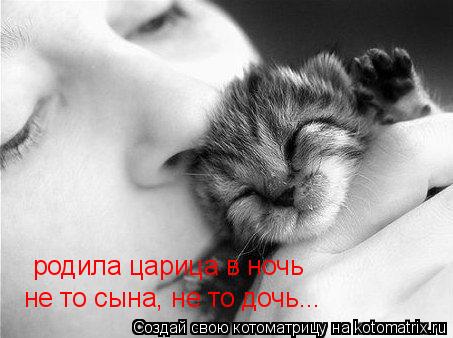 Котоматрица: родила царица в ночь не то сына, не то дочь...