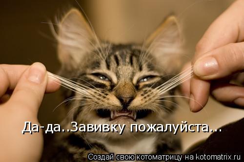 Котоматрица: Да-да..Завивку пожалуйста...