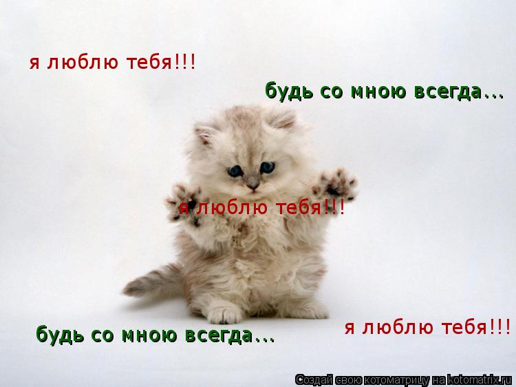 Котоматрица: я люблю тебя!!! я люблю тебя!!! я люблю тебя!!! будь со мною всегда... будь со мною всегда...