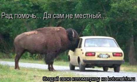 Котоматрица: Рад помочь... Да сам не местный...