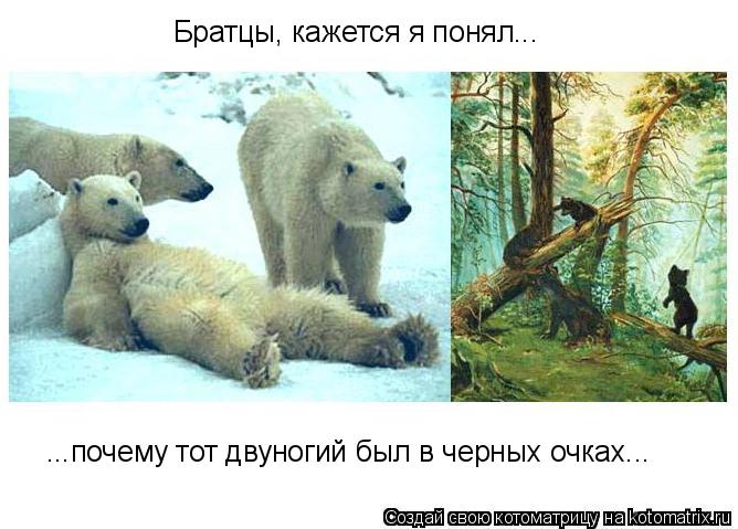 Братцы, кажется я понял... ...почему тот двуногий был в черных очках...... Котоматрица: Братцы, кажется я понял... ...почему тот двуногий был в черных очках...