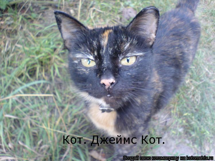 Кот. Джеймс Кот.... Котоматрица: Кот. Джеймс Кот.