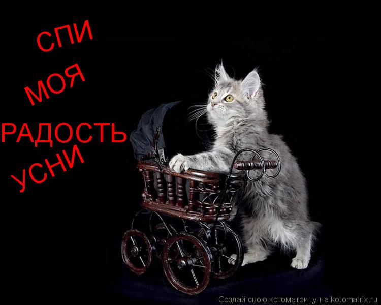 Котоматрица: СПИ  МОЯ РАДОСТЬ УСНИ