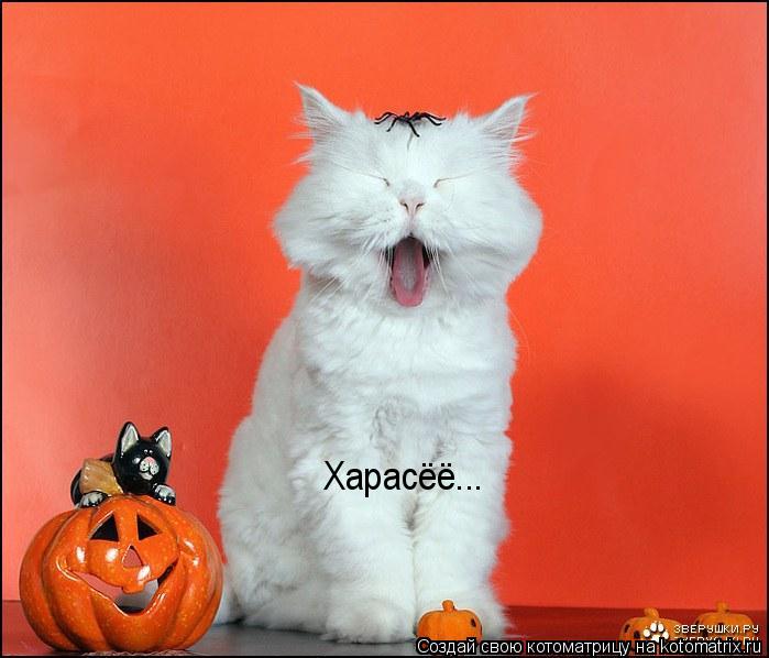Харасёё...... Котоматрица: Харасёё...