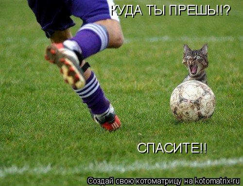 Котоматрица: КУДА ТЫ ПРЕШЬ!!? СПАСИТЕ!!
