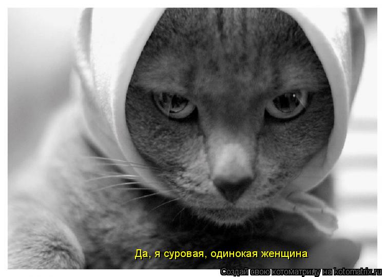 Котоматрица: Да, я суровая, одинокая женщина