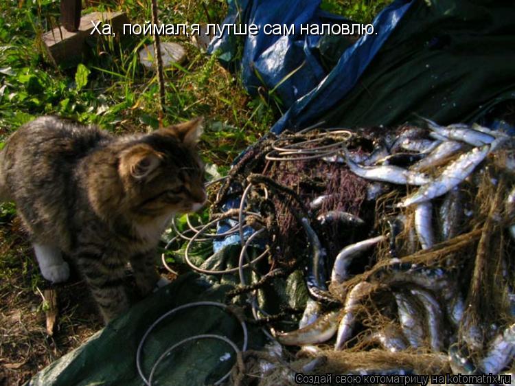 Ха, поймал,я лутше сам наловлю.... Котоматрица: Ха, поймал,я лутше сам наловлю.