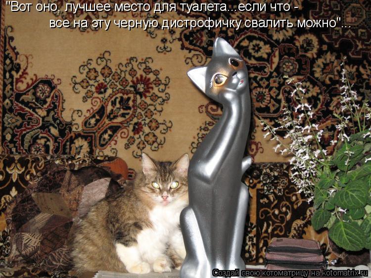 "Вот оно, лучшее место для туалета...если что - все на эту черную дистрофичку свалить можно"...... Котоматрица: "Вот оно, лучшее место для туалета...если что - все на эту черную дистрофичку свалить можно"...