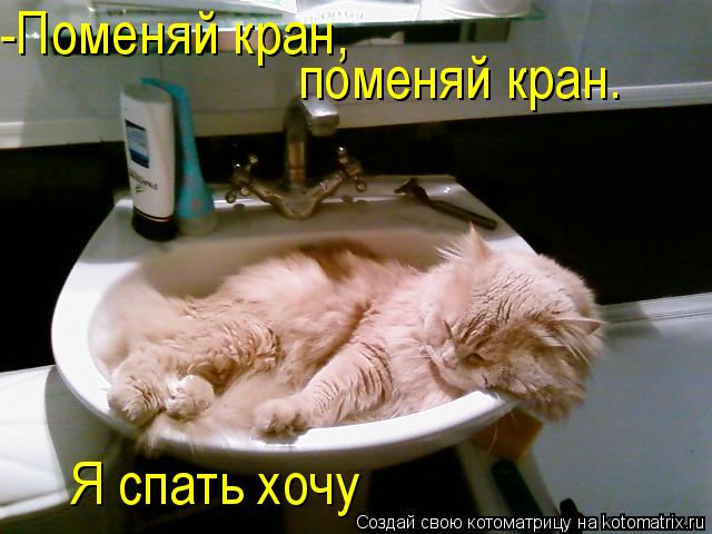 Котоматрица: -Поменяй кран, поменяй кран. Я спать хочу