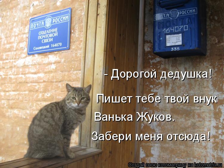 Котоматрица: - Дорогой дедушка! Пишет тебе твой внук  Ванька Жуков. Забери меня отсюда!